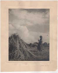 old photo of hay farming